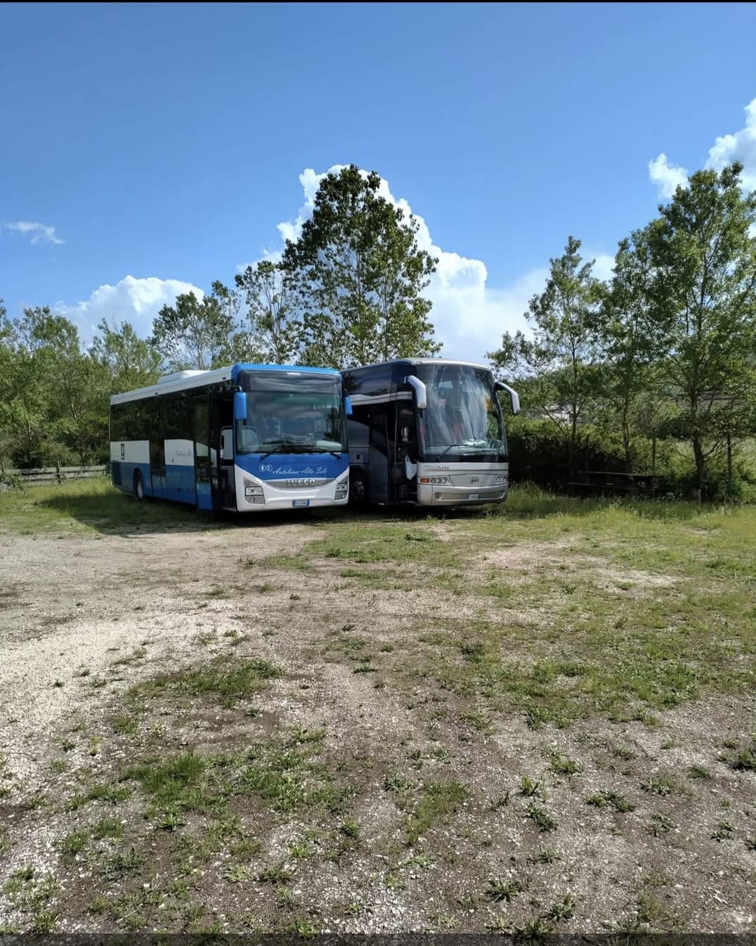 Bus 12